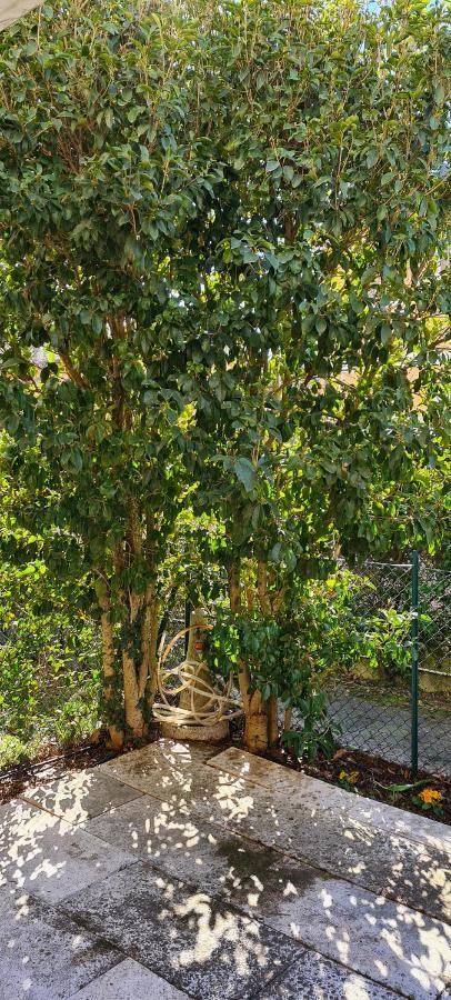 Jasmine Country House Vicenza Exterior foto